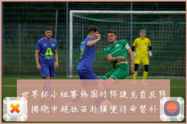 世界杯小组赛韩国对阵捷克首发阵容揭晓中超独苗朴镇燮待命替补