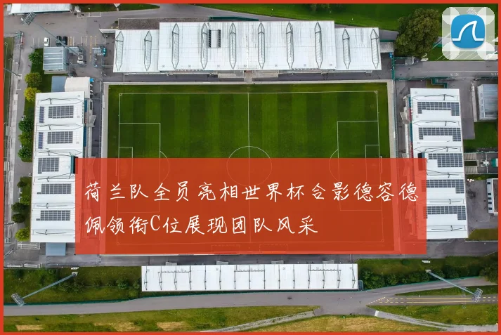 荷兰队全员亮相世界杯合影德容德佩领衔C位展现团队风采